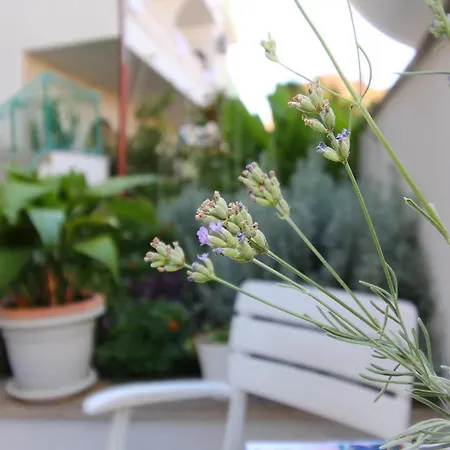 Apartament Marija Nika Makarska